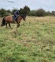 Girl Fall Head First Off Her Horse