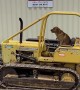 Dog Rides On Small Bulldozer