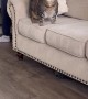 Chonky Cat Gets Shoulder Carriage Ride To Couch