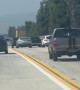 Curly-Coated Dog Enjoys Windy Freeway Ride