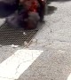 NYC Sewers Are Feeling the Heat