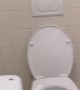 Multiplayer Toilet Stall