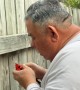 Veteran Saves Cardinal From His Backyard Fence