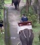 Elephant Whacks Passing Man With Stick