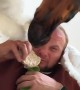 Doberman Takes Food From Owner