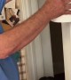 Dog Happily Waits For Old Paper Towel Roll
