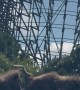 Two Monkeys Spotted on Six Flags Roller Coaster