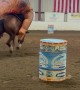 Barrel Racing T-Rex