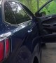 Man Calmly Coaxes Black Bear Out Of Car