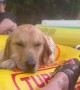 Downpour Ruins Golden's Tubing Trip
