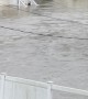 Heavy Flooding in North Plainfield, New Jersey