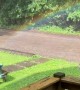 Sun Shower Spawns Mini Rainbow in Front Yard