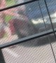 Man Leaps On Moving Car During Argument