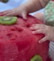 Daughter Desperate For More Watermelon Cake