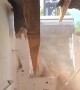 Excavator Bucket Bashes Hole in Bathroom Wall