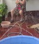 Cute Pool Fountain Turns on Grandma