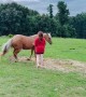 Horse Can’t Get Enough Scratchies