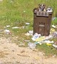 Happy Dog Stands On Trash Pile