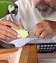 Man Shares Lunch With Macaw