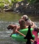 Two Pups Float Down the Chattahoochee