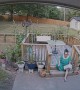 Woman Falls Through Her Chair Swing