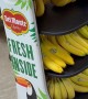 Robot Named Pineapple Selling Bananas