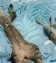 Trio Of Cats Sleep With Stomachs Up