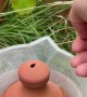 Thumb-Controlled Watering Pot