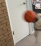 Air Bud Emery