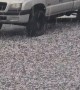 Hailstorm in Castro Brazil