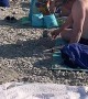 Building a Tower of Stones at the Beach