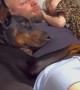 Dad Cuddles Dog and Daughter Before Bed