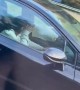 Driver Asleep on the Interstate