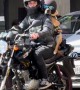 Dog Rides Backseat on Motorcycle