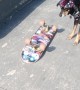 Radical Brazilian Skater Dog