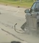 SUV Makes Slow Escape After Alleged Hit and Run