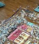 Timelapse Assembly of 5.000 Piece Puzzle