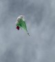 Skydiver Safely Cuts Away From World's Largest Italian Flag