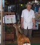 Japanese Deer Denied Entry To Restaurant