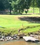 Golfer Falls in Creek