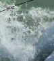 Tarpon Fishing Becomes Contact Sport