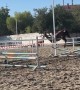 Horse Falls Dramatically Off Obstacle
