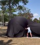 Gender Reveal in an Inflatable Sphere