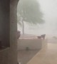 Phoenix Monsoon Storm Knocks Down Tree