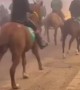 Bucking Horse in the Front of a Horse Raid