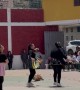 Dog Joins In On Colorful Dance