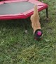 Kitten Makes an Impressive Jump Down