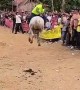 Backwards And Bareback Rider Gets Bucked Off