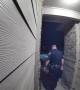 Cop Delivers Food After Door Dash Driver Gets Arrested