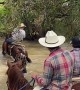 Horse Lunges Across River Water